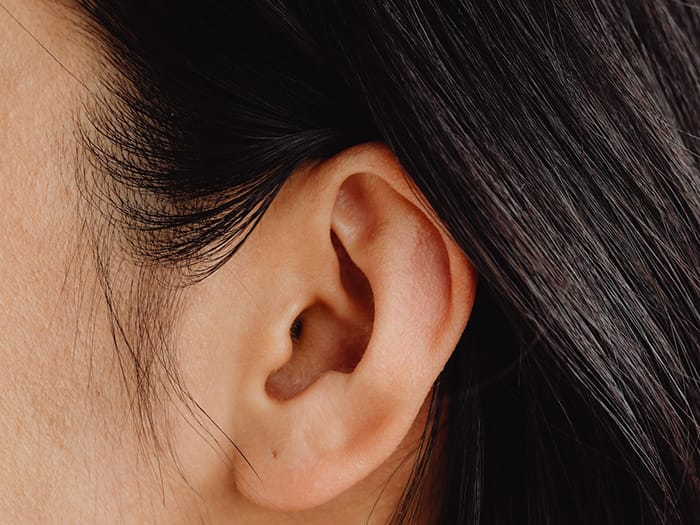 Ear Close Up